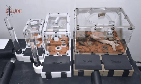 O2-Sizes Modular Medium Outworld